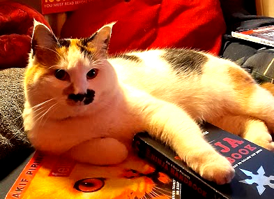 Freddie.