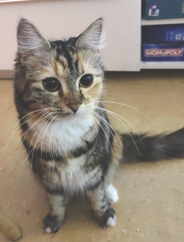 Perla.