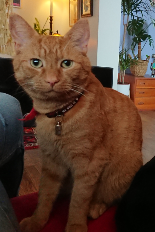 Loðvík. 